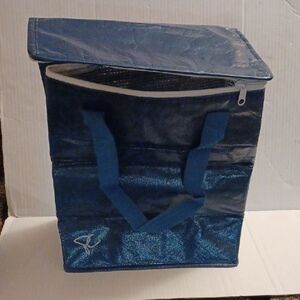 4/$40 Blue Insulated Cooler Grocery Tote Bag with Zipper & Double Handle